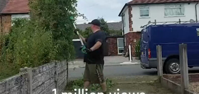 СЕНЗАЦИЯ В TIKTOK: Мъж оряза храстите на съседа си, блокирали алеята към дома му (ВИДЕО)
