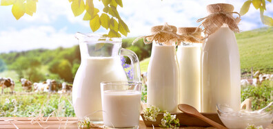 Криза с млякото във Франция: Страната се опитва да спаси био храните си