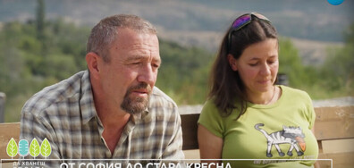 "Да хванеш гората": Зъботехник и енергетик избират живот в хармония с природата