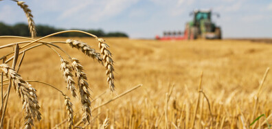 ЕС въвежда по-високи мита за зърнения внос от Русия и Беларус