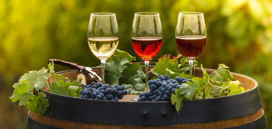 „Винената партия“ - там, където ротацията е само между бяло и червено вино (ВИДЕО)