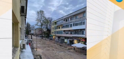 Защо бяха изсечени десетки липи в центъра на Добрич
