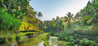 Зеленият рай на Земята: Магията на остров Бали