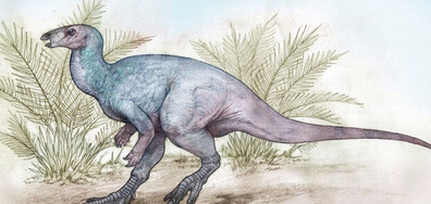 Учени откриха нов вид тревопасен динозавър, живял преди 90 млн. години (ВИДЕО)