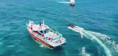 Морска гонка и стрелба: Заловиха кораб с дрога за 71 млн. долара (ВИДЕО)