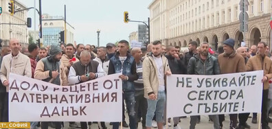 Протест на търговците на гъби и трюфели в центъра на София