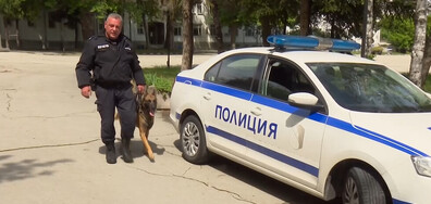 В униформа от Варна до Париж: Български полицаи охраняват Олимпиадата