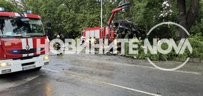 Шофьорът, загинал при катастрофата в Пловдив – с 16 акта и фиша