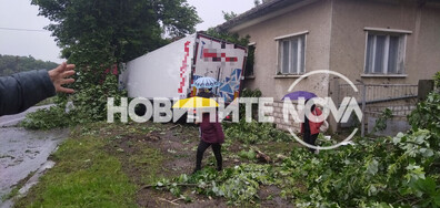 Тир отсече 3 дървета, електрически стълб и се блъсна в къща във Врачанско