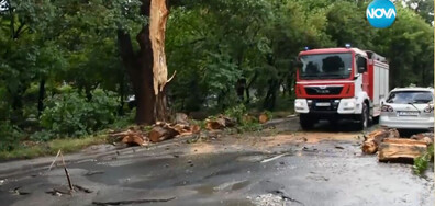 Какви са щетите след мощната буря, разразила се в Хасковско