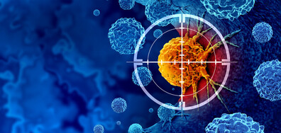 „Обединена армия от лечители“: Учени с важно откритие за имунната система