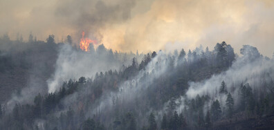 Голям пожар в Скалистите планини изпепелява сгради в канадски град (ВИДЕО)