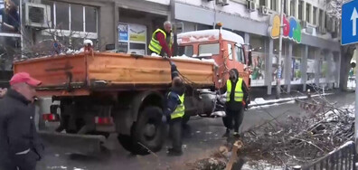 Няколко паднали дървета в Хасково заради обилния сняг