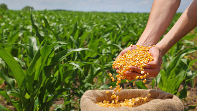 Над 1 млрд. лева за земеделските стопани отпускат до края на годината