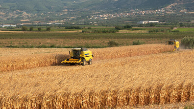 Българските зърнопроизводители - на протест в Брюксел