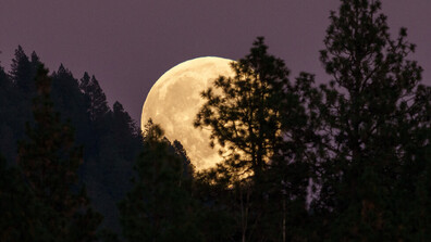 Уникално ярка суперлуна озари нощното небе над Сидни (ВИДЕО)