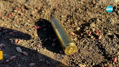 Застреляха куче в Русенско, докато стопанката му го разхожда