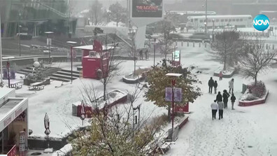 Първи сняг покри Торонто (ВИДЕО)