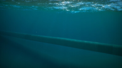 Отстранена е аварията на тръбопровода във Варненското езеро