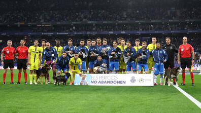 Футболисти излязоха на терен с бездомни кучета, за да стимулират осиновяванията