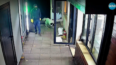 Въоръженият грабеж в заведение в Монтана: Разказ на служителите, заплашени от 16-годишен тийнейджър