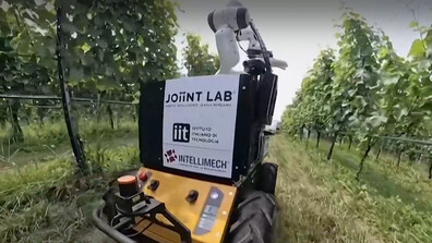 Италианци създадоха робот лозар, който се грижи сам за гроздето