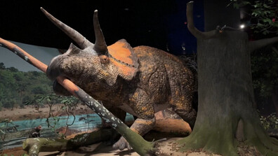 Природонаучният музей в Ню Йорк откри изложба, посветена на края на динозаврите