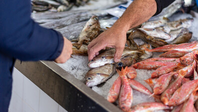 Преди Никулден: Българската риба изчезва от пазара