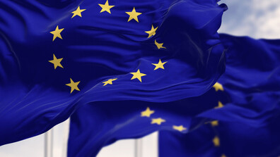 Апостолос Цицикостас: ЕК предлага „военен Шенген”