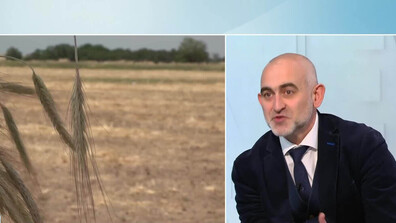 Спор в сектор „Земеделие“: Дългосрочните договори за земя поставят 3,5 млн. собственици в риск