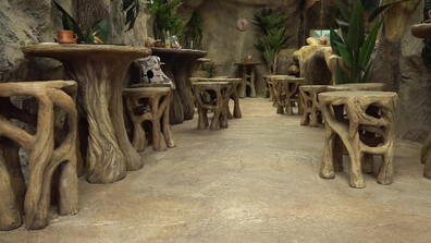 Откриха зоокафе в природонаучния музей в Пловдив (ВИДЕО)