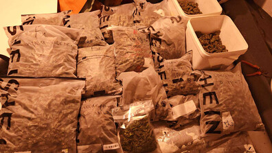 Задържаха марихуана за 240 хил. лв. в Стара Загора, петима са арестувани