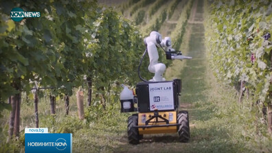 Роботът Фраски: Как високотехнологичен помощник помага на лозята в Италия