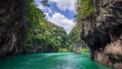 Учени се опитват да спасят от изчезване риба, стара колкото динозаврите (СНИМКИ)