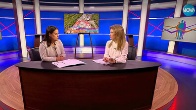 400 проверки и 370 нарушения: ДНСК уверява, че проверките продължават