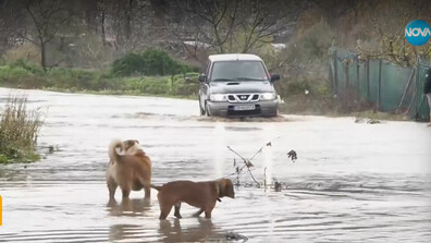 Втори ден: Бедствено положение в Югозападна България заради проливните дъждове