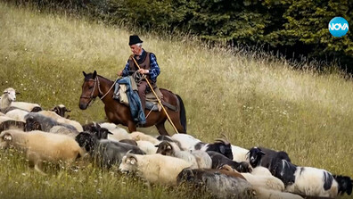 „Ничия земя“: При Бай Минчо - последният родопски овчар по призвание