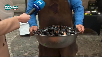 Часове преди Никулден: Рибен фест в София с атракции, пазар и кулинарни демонстрации