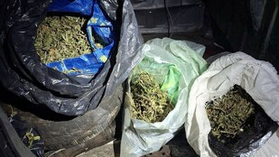 Иззеха 8 килограма марихуана, укрита в буркани и дерегистрирана кола в Бобов дол