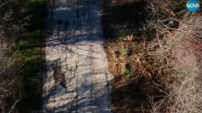 Огромна дупка на пътя: Жители на три видински села настояват за спешен ремонт