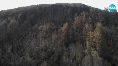 5 месеца след огнения ад: Как хората в Рани Луг ще посрещнат Коледа