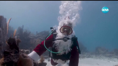 Дядо Коледа се гмурна край бреговете на Флорида (ВИДЕО)