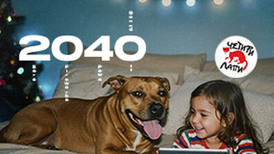 "Четири лапи": Празниците могат да бъдат светли и тихи, без страх и пиротехника с Движение 2040