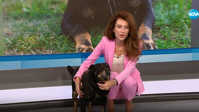 „Време за надежда“: Никол Станкулова търси любящо семейство за Алби