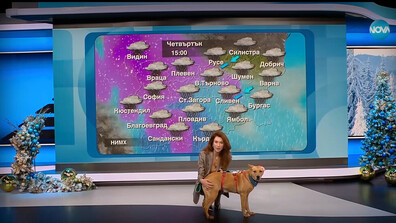 „Време за надежда“: Никол Станкулова търси верен приятел за цял живот за Лара