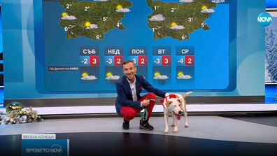 „Време за надежда“: Николай Василковски търси любящ дом за Кая