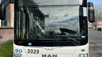 Издирват човек, хвърлил дърво по автобус с пътници в София (СНИМКИ)
