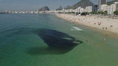 Природен феномен на Копакабана: Милиони рибки аншоа изненадаха плажуващи (ВИДЕО)