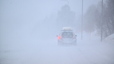 Зимна буря остави без ток десетки хиляди домакинства в Швеция