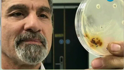 Може ли пръст от гроба на ирландски свещеник да спаси животи